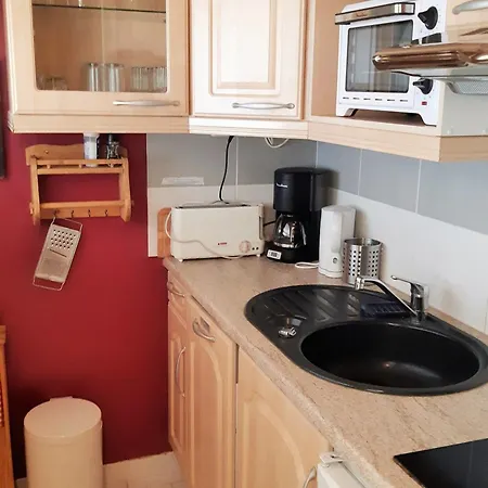 Calme Aux Deux Alpes, Accès Pistes, Animaux Admis - Fr-1-516-158 Appartamento