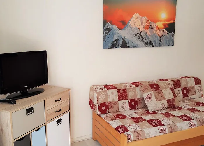 Calme Aux Deux Alpes, Acces Pistes, Animaux Admis - Fr-1-516-158 Les Deux Alpes