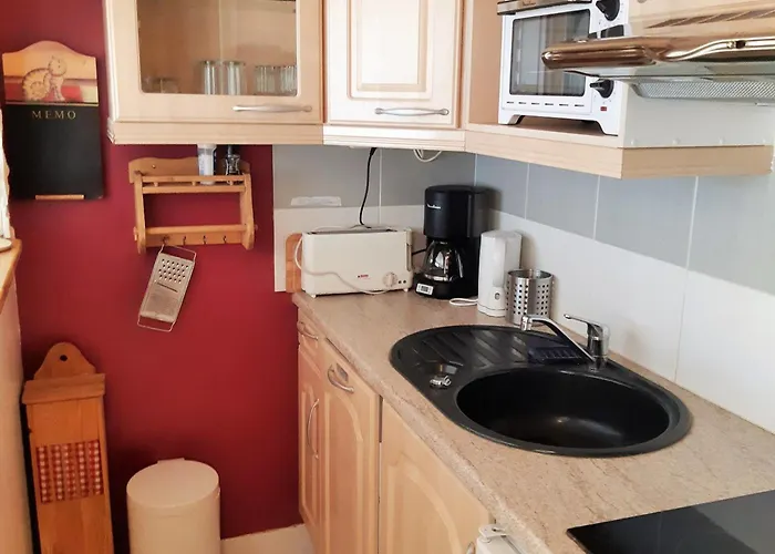 Calme Aux Deux Alpes, Acces Pistes, Animaux Admis - Fr-1-516-158 Lägenhet