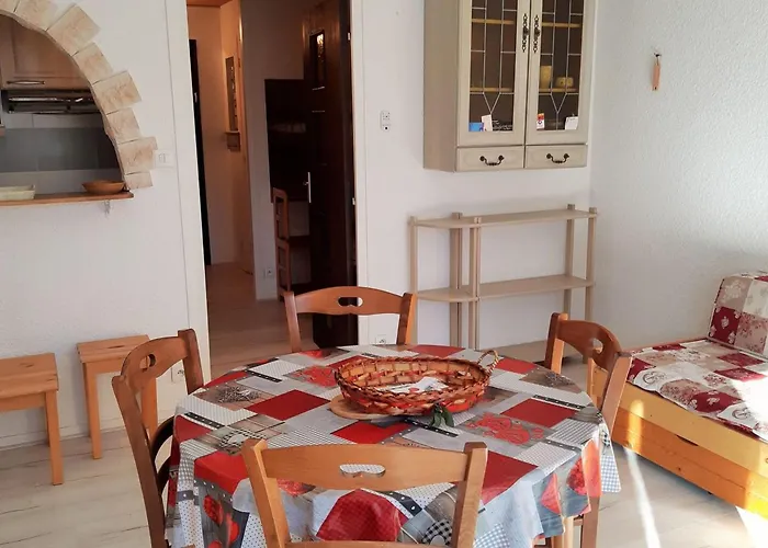 Calme Aux Deux Alpes, Acces Pistes, Animaux Admis - Fr-1-516-158 *