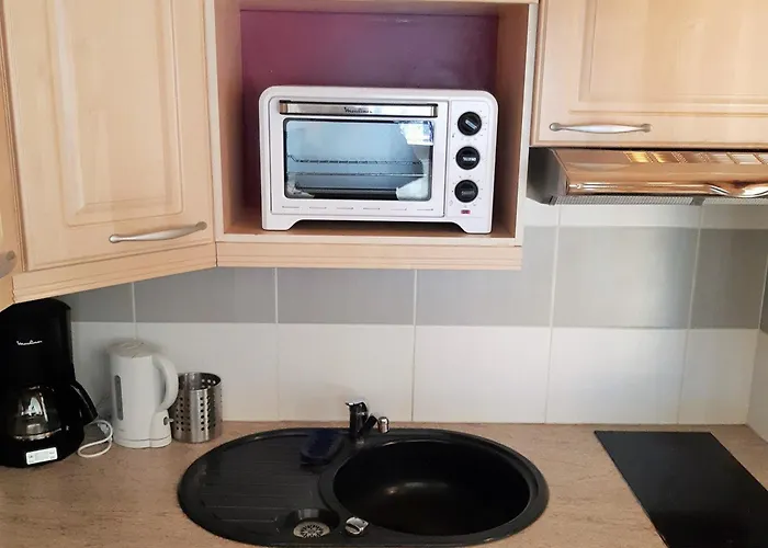 Calme Aux Deux Alpes, Acces Pistes, Animaux Admis - Fr-1-516-158 Lägenhet *